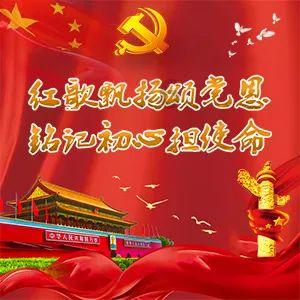 五彩鹦鹉救援