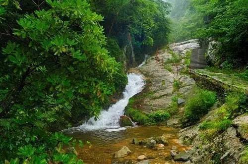 “走找想促”星成效｜解民忧、暖民心 结对共建共创协同发展良好局面