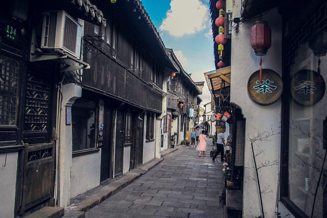 救援鹦鹉